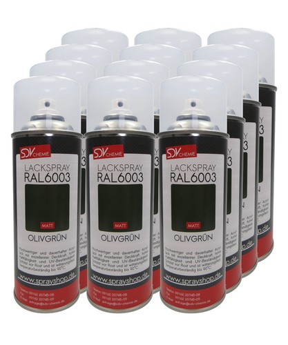 12x 400ml lackspray - lackspray, ral